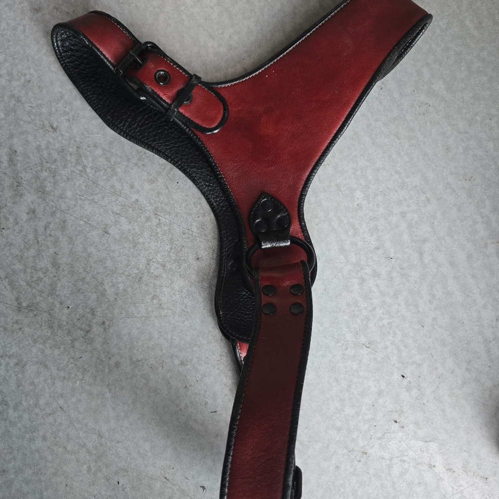 ROUGH TRADE Red Leather Harness - Picture 9 of 12